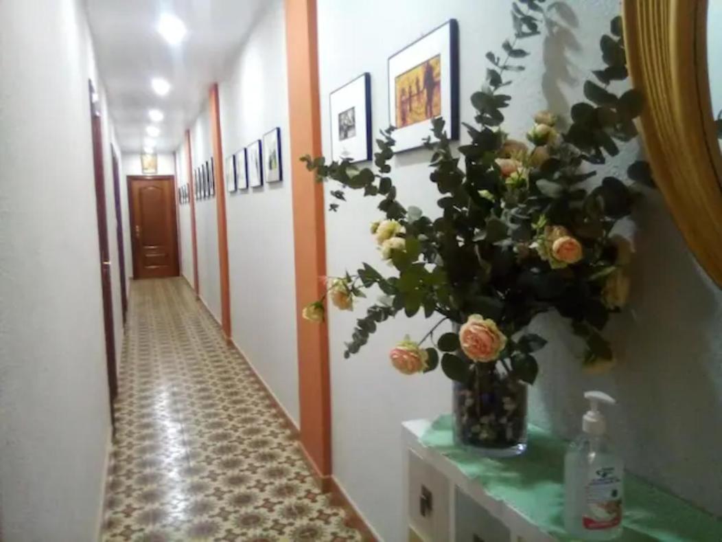 Las Golondrinas Zaragoza Habitacion Individual المظهر الخارجي الصورة